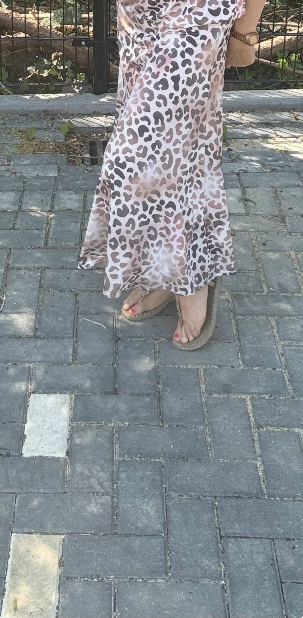 Rok Leopard