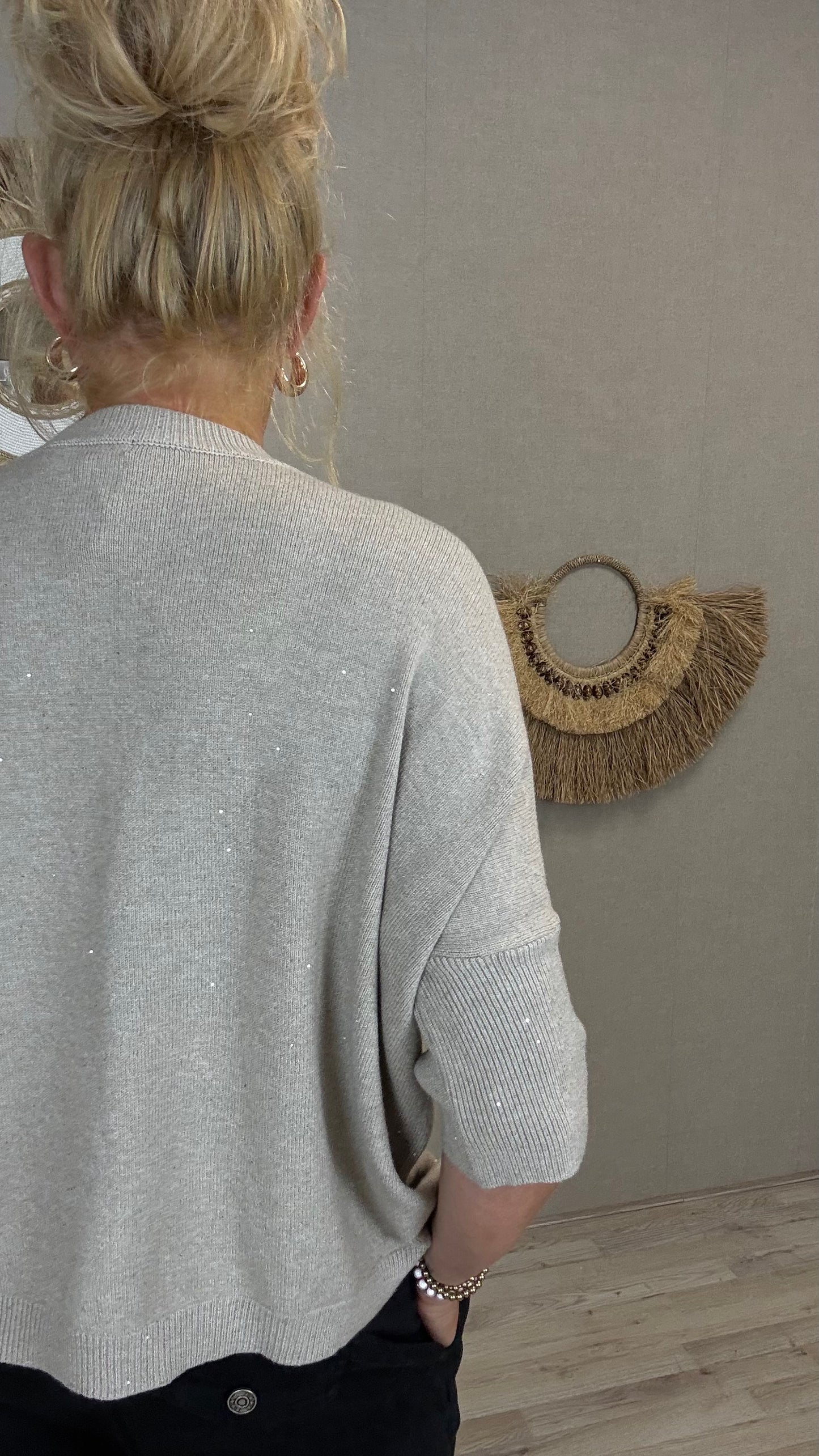 Trui Sparkel Noa Beige
