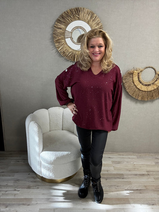 Blouse Imke Bordeaux Zilveren Sparkel